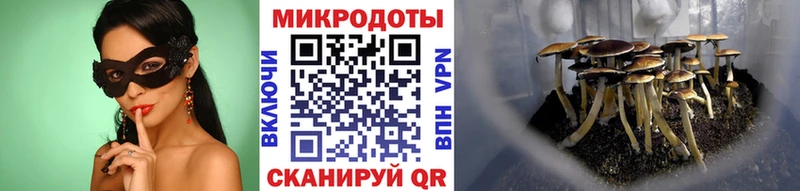 Купить закладки  Староминская  Псилоцибиновые грибы Magic Shrooms 